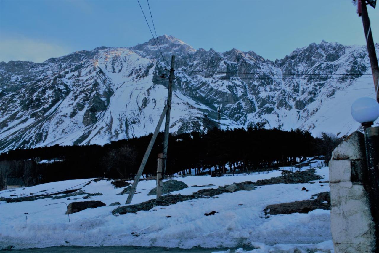 Hotel Noa Kazbegi Dış mekan fotoğraf