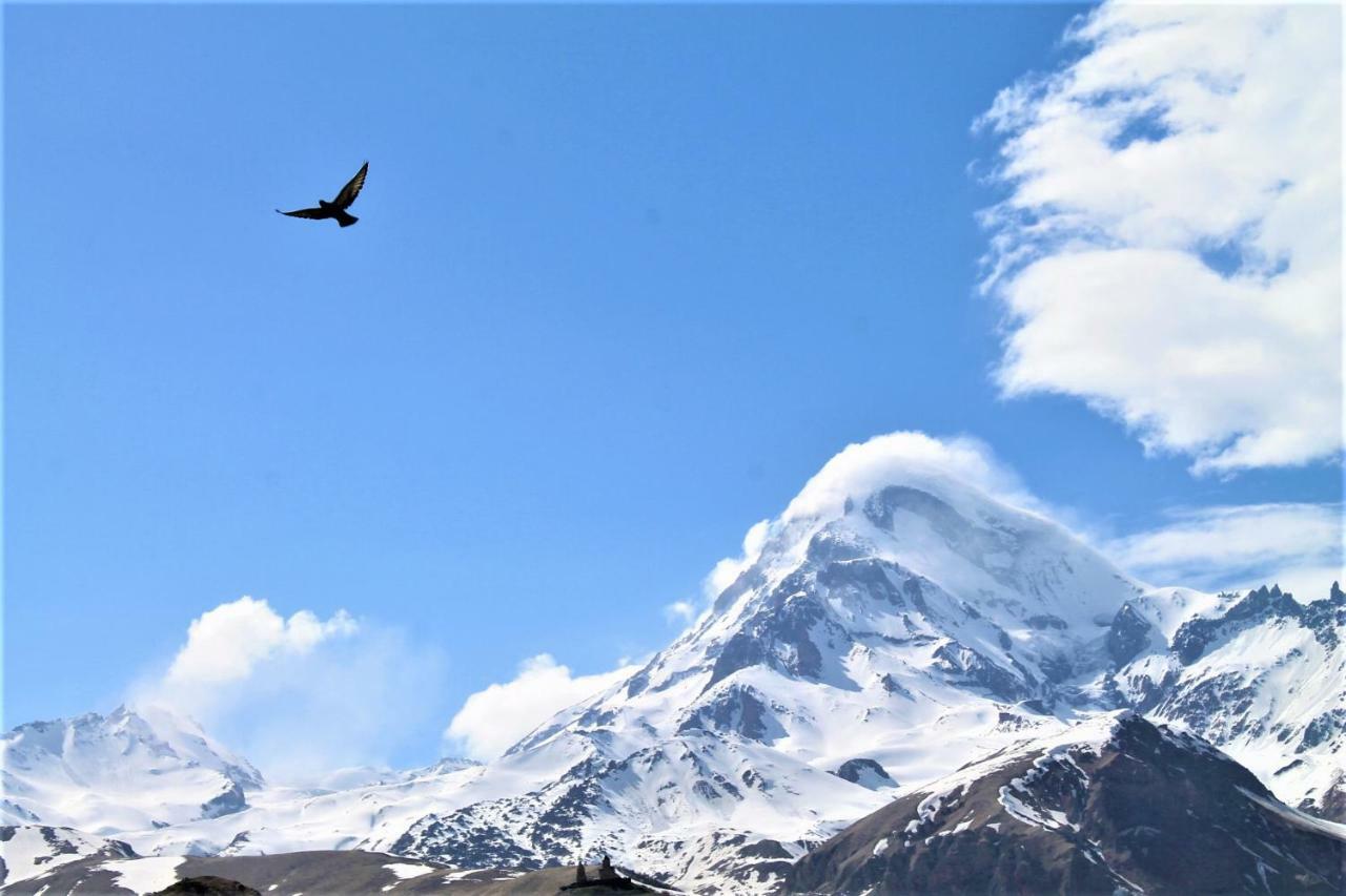 Hotel Noa Kazbegi Dış mekan fotoğraf
